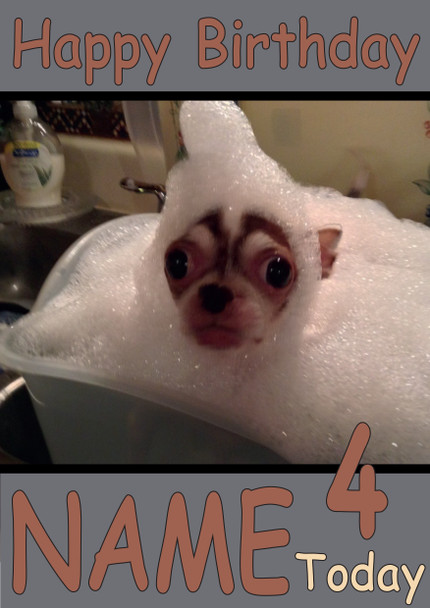 Funny Dog Having Bubble Bath Birthday Card