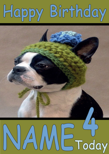 Funny Dog Wearing Knitted Hat Birthday Card