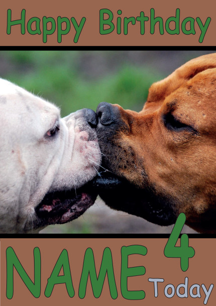 Funny Dogs Kissing Birthday Card