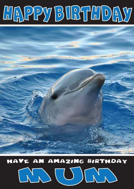 Funny Dolphin 2 Birthday Card