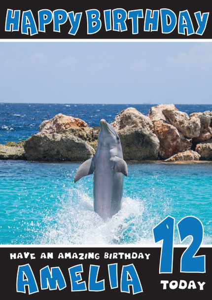 Funny Dolphin 4 Birthday Card