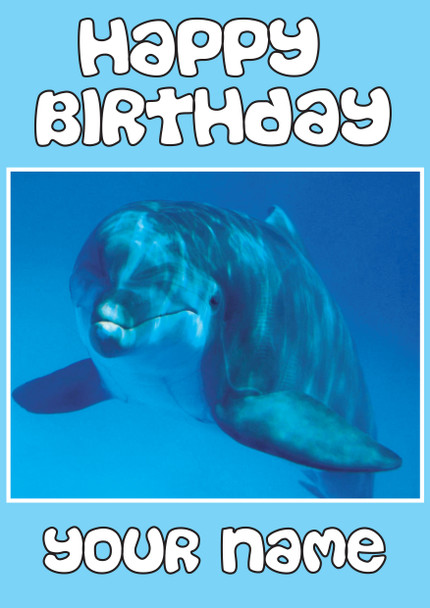 Funny Dolphin Blue Birthday Card