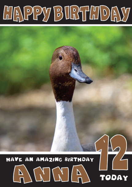 Funny Duck 2 Birthday Card