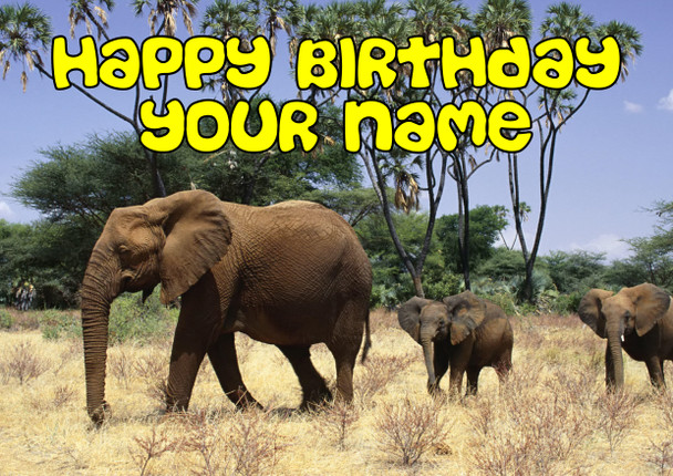 Funny Elephants Birthday Card