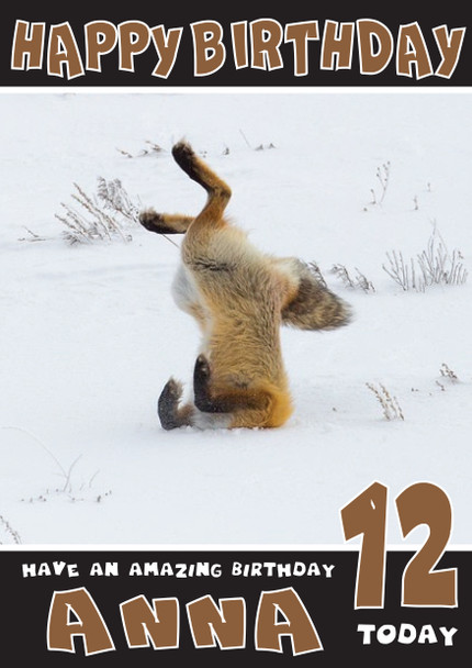 Funny Fox 4 Birthday Card