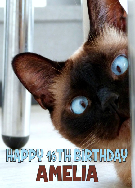 Funny Cat 1 Birthday Card