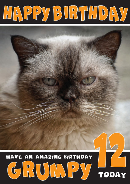 Funny Cat 10 Birthday Card