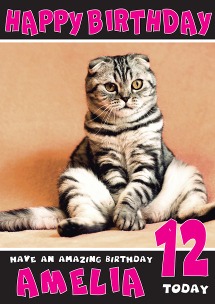 Funny Cat 2 Birthday Card