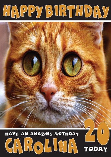 Funny Cat 3 Birthday Card