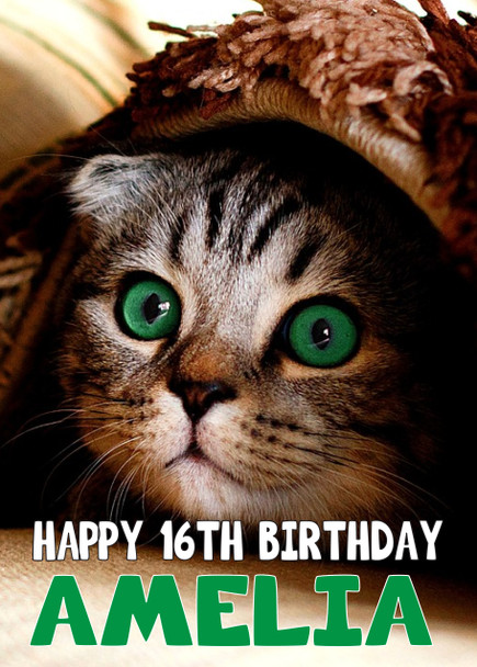 Funny Cat 5 Birthday Card