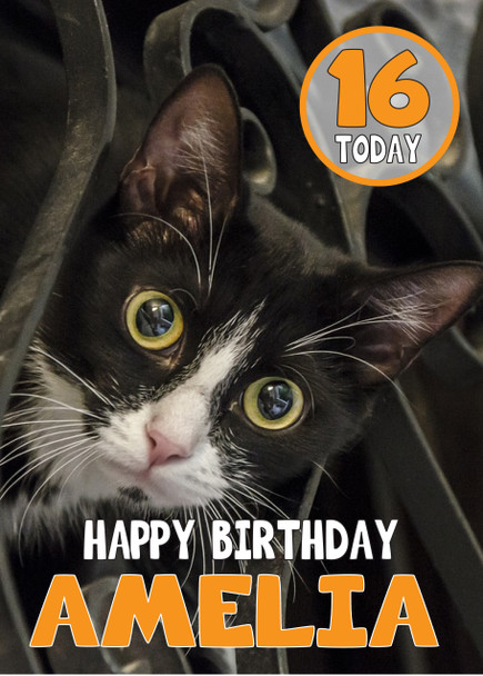 Funny Cat 7 Birthday Card