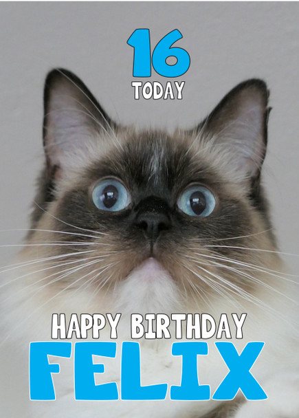 Funny Cat 9 Birthday Card