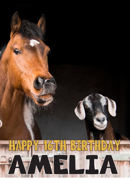 Funny Horse And Goat 1 Birthday Card