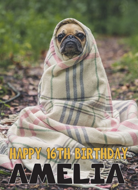 Funny Pug 21 Birthday Card