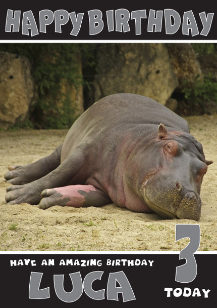 Funny Hippo 2 Birthday Card