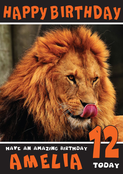 Funny Lion 3 Birthday Card