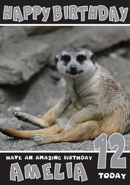 Funny Meerkat 1 Birthday Card