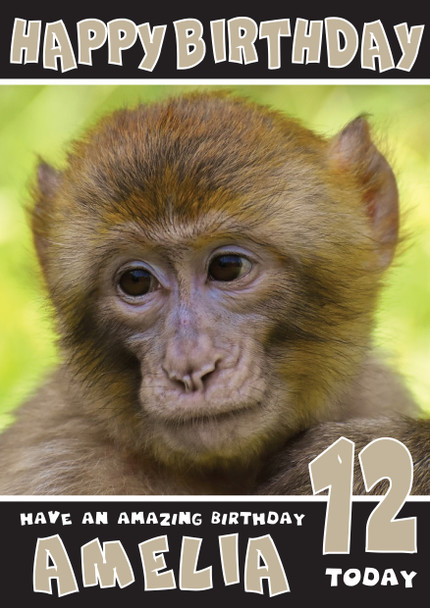 Funny Monkey 1 Birthday Card