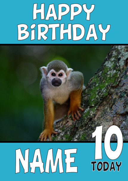 Funny Monkey 4 (2) Birthday Card