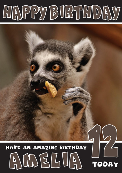 Funny Monkey 4 Birthday Card