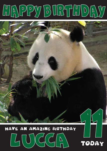 Funny Panda 1 Birthday Card