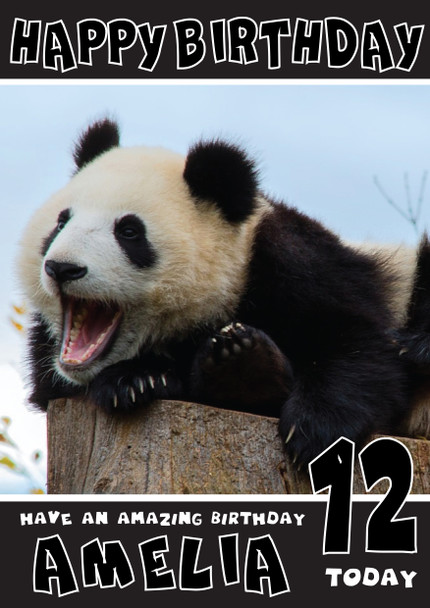 Funny Panda 3 Birthday Card