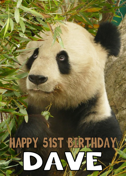 Funny Panda 4 Birthday Card