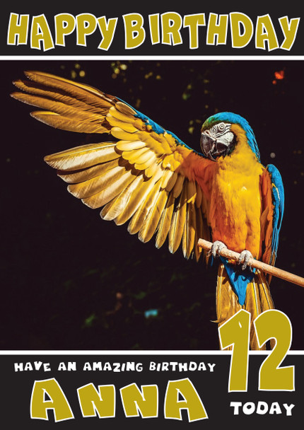 Funny Parrot 1 Birthday Card