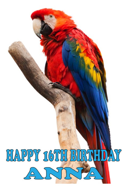 Funny Parrot 2 Birthday Card