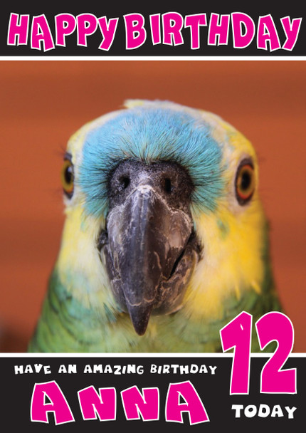 Funny Parrot 3 Birthday Card