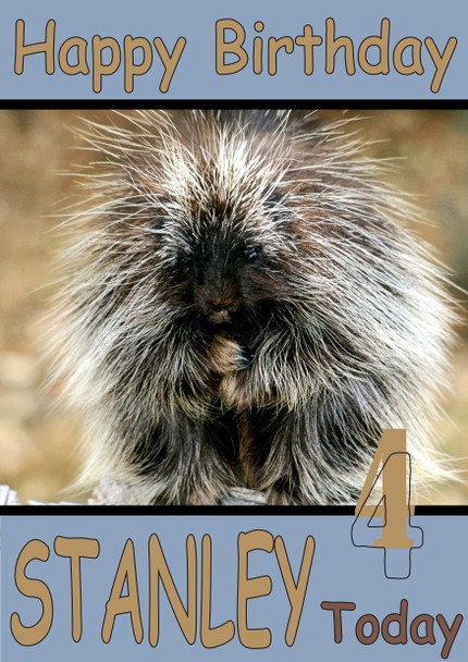 Funny Porcupine Birthday Card