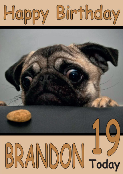 Funny Pug With Cookie Birthday Card