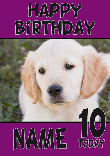 Funny Puppy 2 Birthday Card