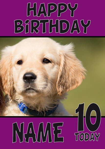 Funny Puppy 3 Birthday Card