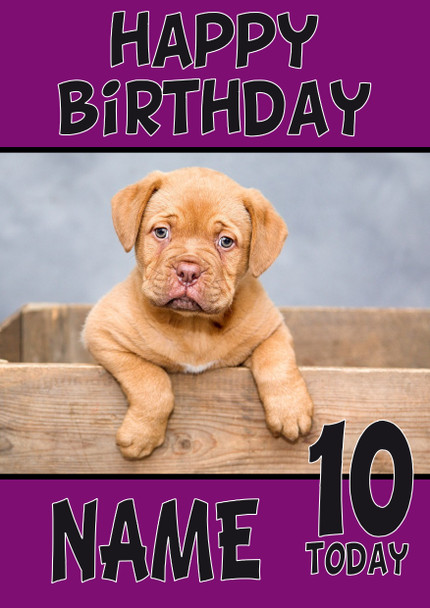 Funny Puppy 4 Birthday Card