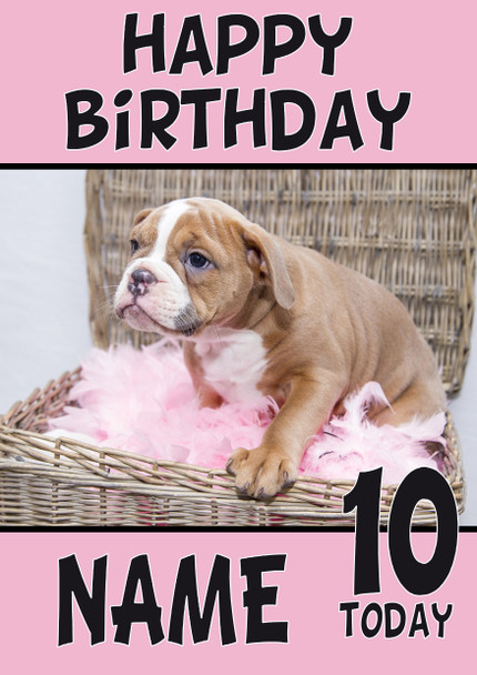 Funny Puppy 5 Birthday Card