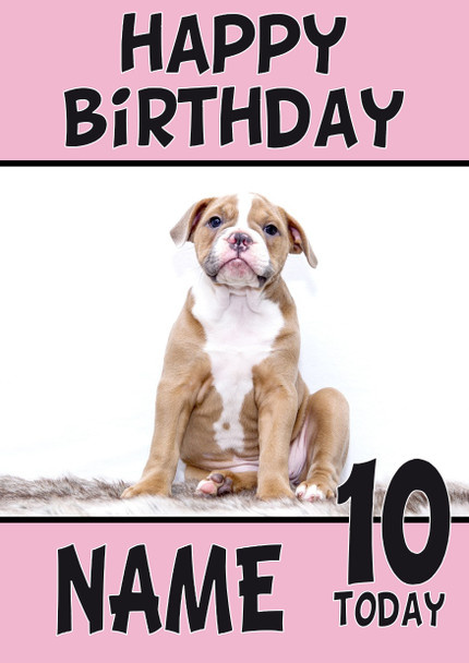 Funny Puppy 6 Birthday Card