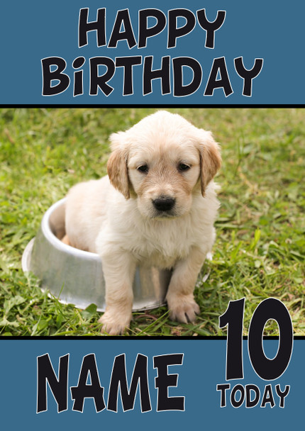 Funny Puppy 8 Birthday Card
