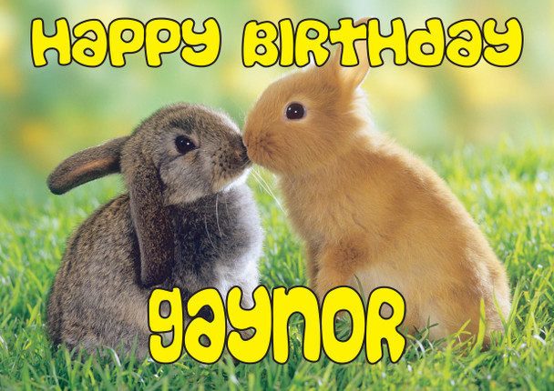 Funny Rabbits Kissing Birthday Card