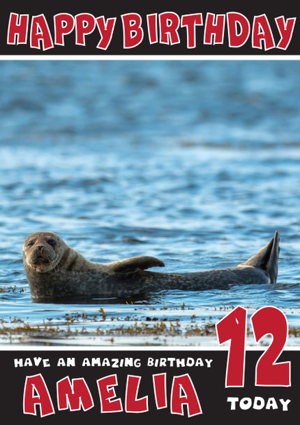 Funny Seal 2 Birthday Card