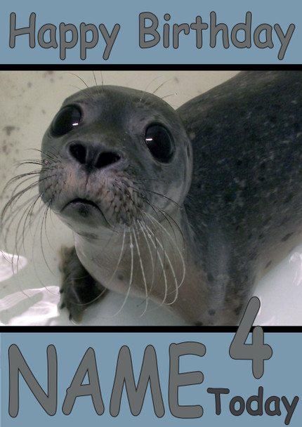 Funny Seal Selfie Birthday Card
