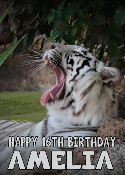 Funny Tiger 1 Birthday Card