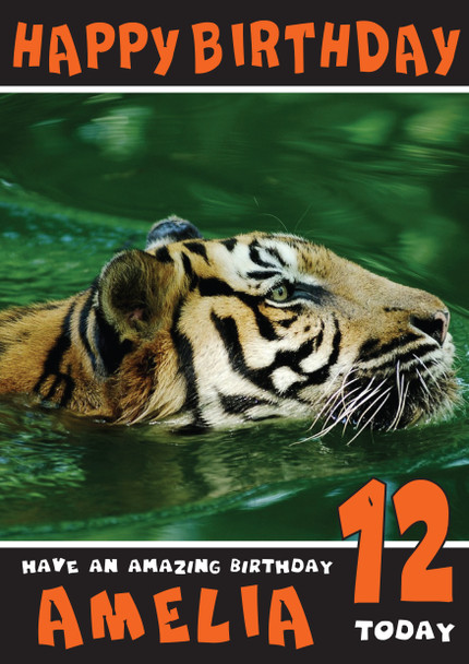 Funny Tiger 3 Birthday Card