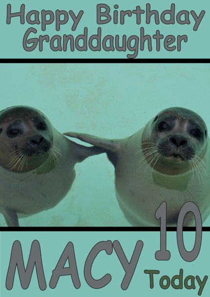 Funny Two Seals Grandaughter Birthday Card