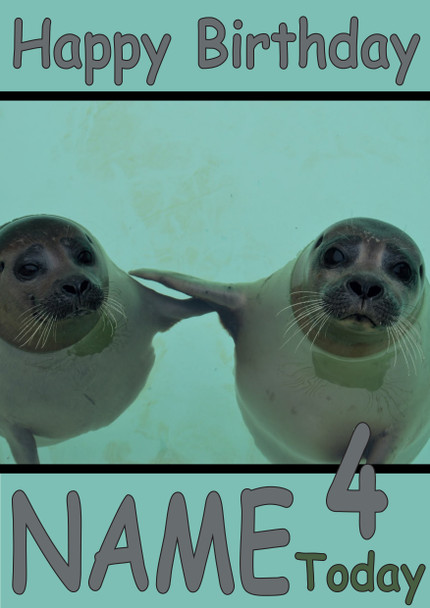 Funny Two Seals Birthday Card