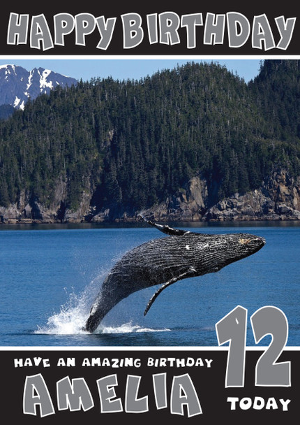 Funny Whale 2 Birthday Card