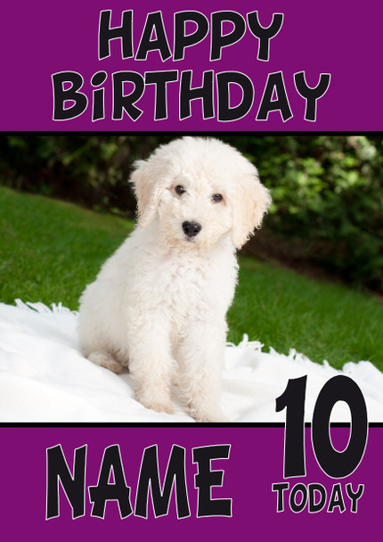 Funny White Puppy Dog Birthday Card