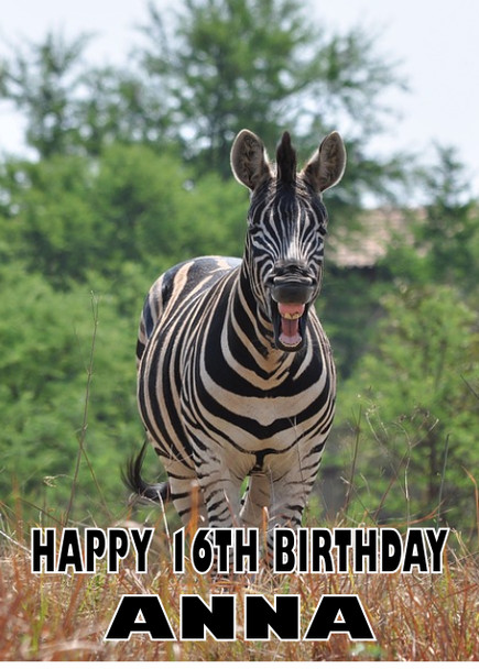 Funny Zebra 2 Birthday Card