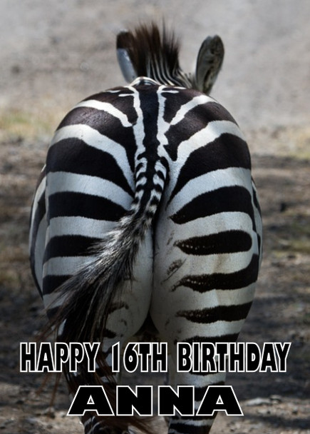 Funny Zebra 3 Birthday Card