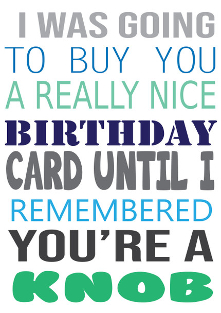 I Was Ging To Buy You A Really Nice Card But You're A Knob Birthday Card